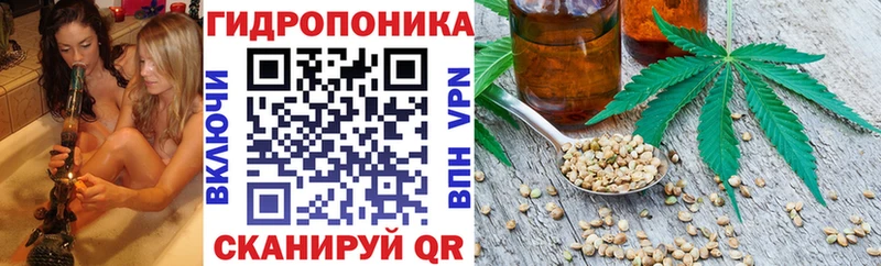 MDMA Жиздра