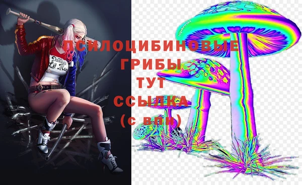 СК Алексин