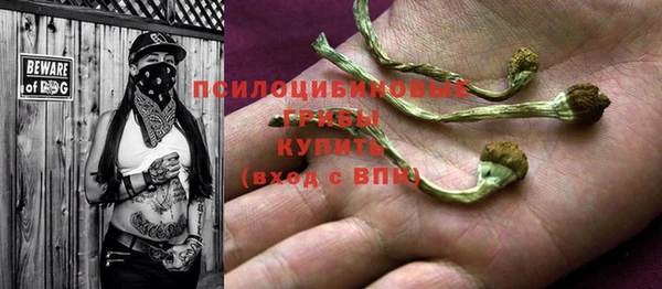 стаф Алзамай
