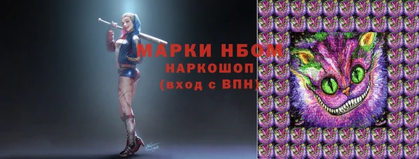 СК Алексин