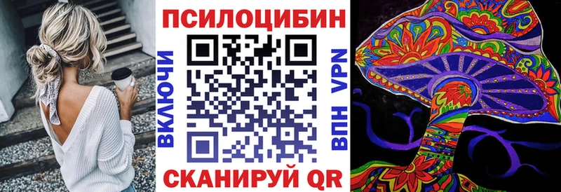 Галлюциногенные грибы ЛСД  даркнет сайт  Жиздра 